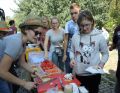 große Auswahl beim Brotzeit-Picknick